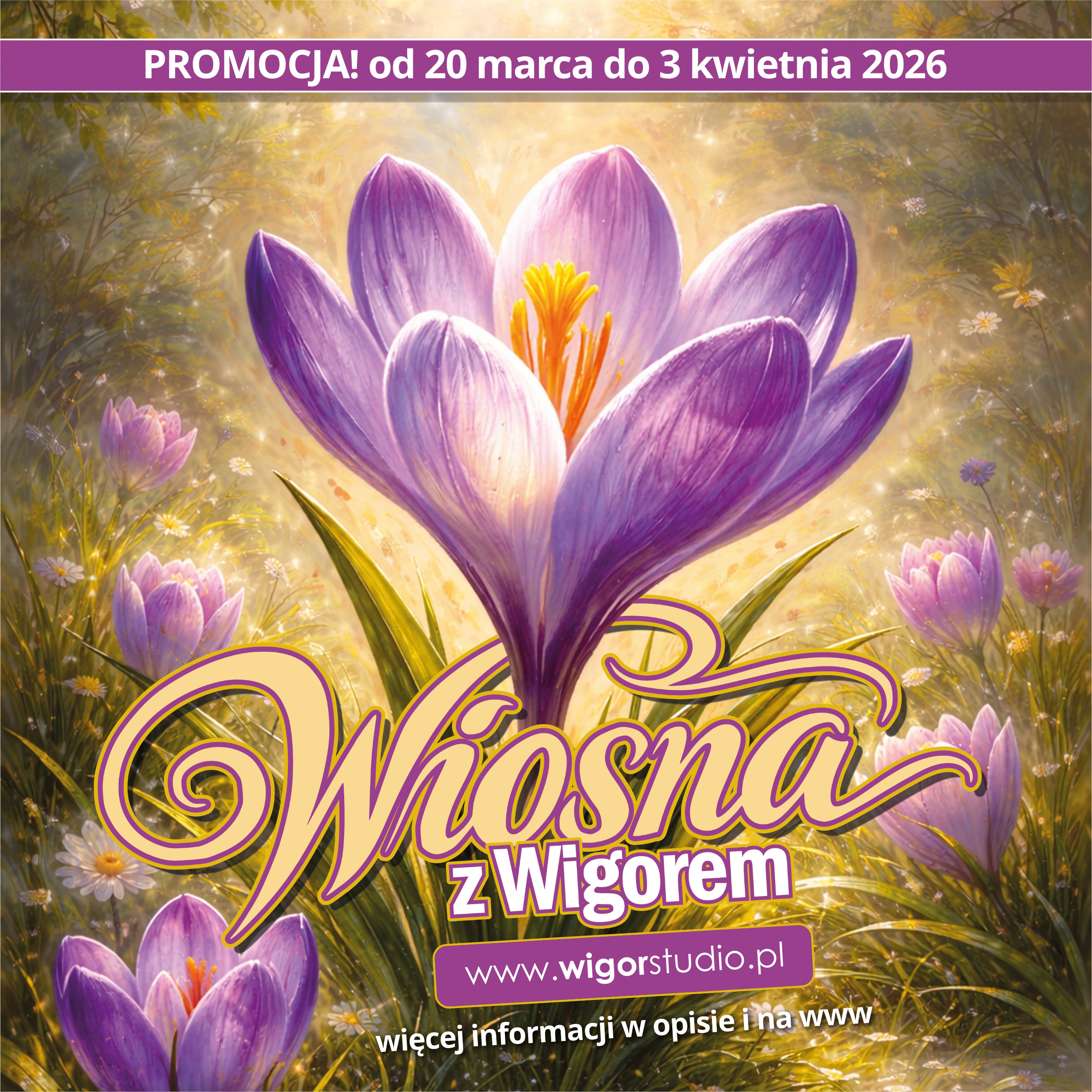 Promocja wiosenna Studio Wigor Normobaria